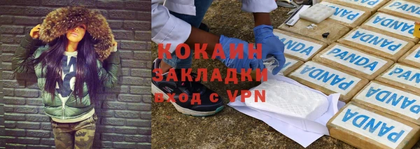 стаф Абаза