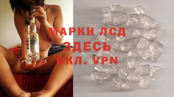 стаф Абаза